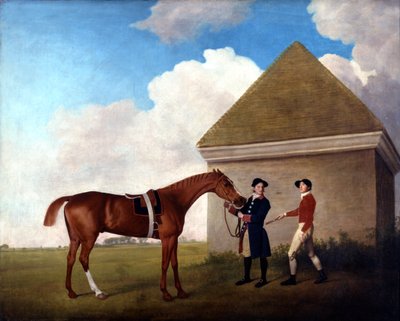 Immagine Sconosciuta da George Stubbs