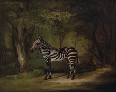Zebra da George Stubbs
