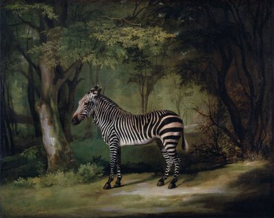 Zebra da George Stubbs