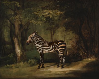 Zebra da George Stubbs