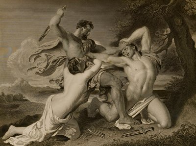 Il combattimento da George Thomas Doo