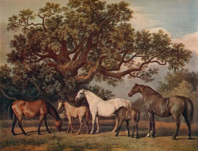 Fattrici e puledri da George Townley Stubbs