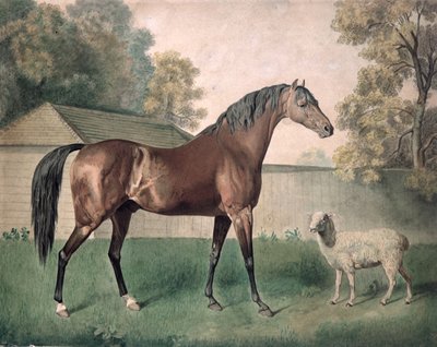 Dungannon da George Townley Stubbs