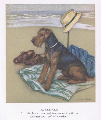 Airedale (litografia a colori) da George Vernon Stokes