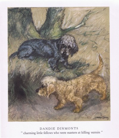 Dandie Dimonts (litografia a colori) da George Vernon Stokes