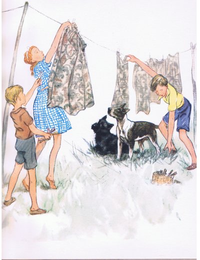 Appendere il bucato al filo - Nobby il Bull Terrier e Ferdinand l