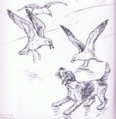 Rosie che allontana i gabbiani, da Mudlarks pubblicato da Collins da George Vernon Stokes