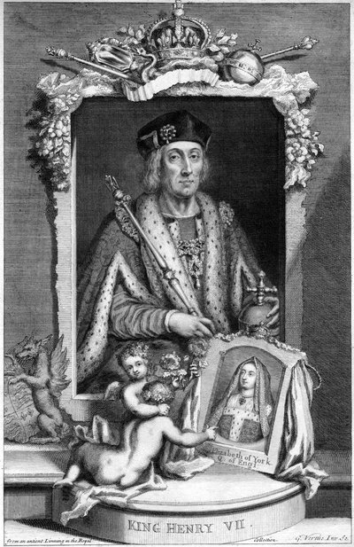 Enrico VII d