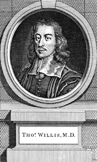 Thomas Willis, medico inglese del XVII secolo, 1742 da George Vertue