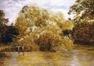 Prima della tempesta, Abingdon da George Vicat Cole