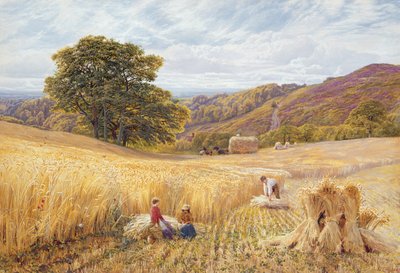 Tempo di raccolta vicino a Holmbury Hill, Surrey da George Vicat Cole