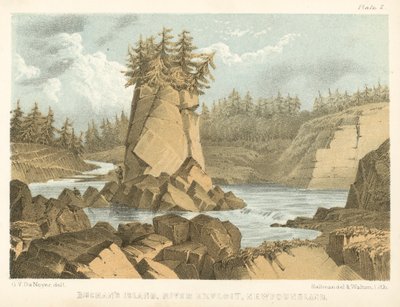 Isola di Buchan, fiume Exploit, Terranova (incisione a colori) da George Victor Du Noyer