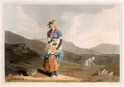 La ragazza del mirtillo rosso, inciso da Robert Havell il Vecchio, pubblicato nel 1814 da Robinson e Son, Leeds da George Walker