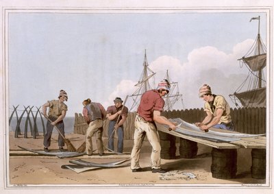 Raschietti di osso di balena, inciso da Robert Havell il Vecchio, pubblicato nel 1814 da Robinson e Son, Leeds da George Walker