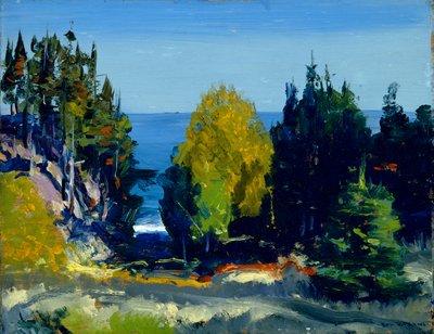 Il boschetto - Monhegan, 1911 da George Wesley Bellows