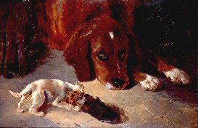 Un Cucciolo Curioso da George Wiliam Horlor