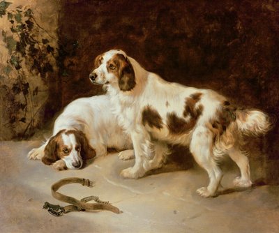 Spaniel della Bretagna da George Wiliam Horlor