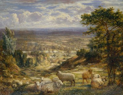 Paesaggio estivo con pecore da George William Mote