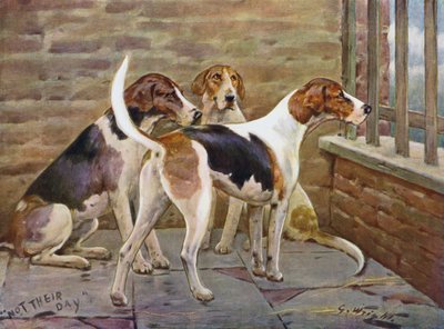 Non il loro giorno da George Wright