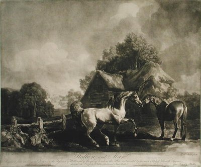 Stallone e giumenta, inciso da George Townley Stubbs, 1776 da George after Stubbs