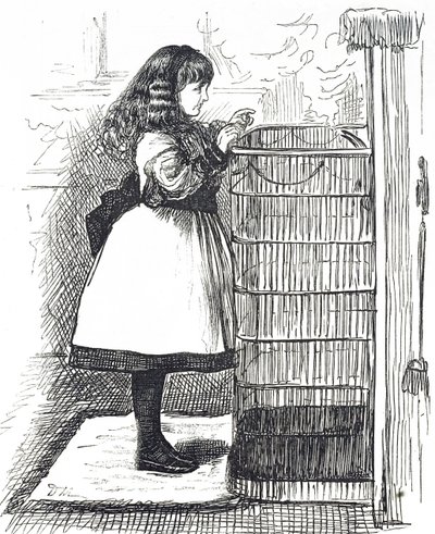 Cartone animato che raffigura una giovane ragazza davanti a un grande parascintille da George du Maurier