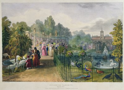 La Voliera ai Giardini Zoologici, Regents Park, incisa e pub. dall