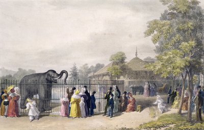 La casa degli elefanti ai Giardini Zoologici, Regent