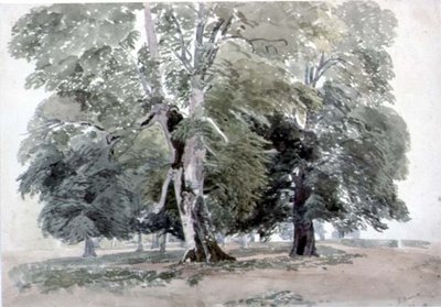 Studio di alberi da George the Younger Barret