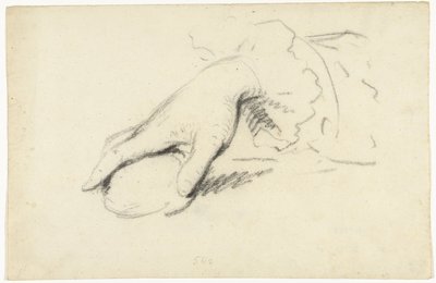 Studio di una mano da George van der Mijn