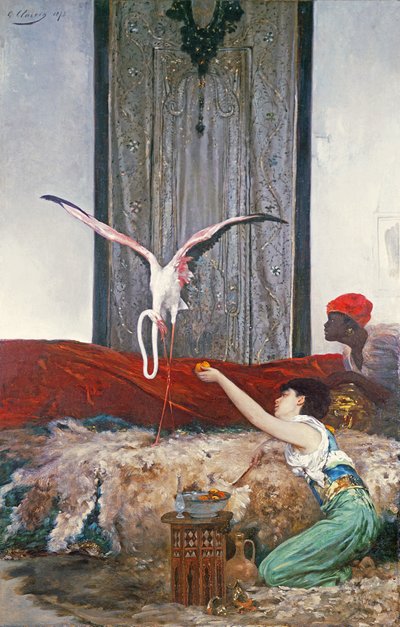 Il Fenicottero Domestico da Georges Clairin