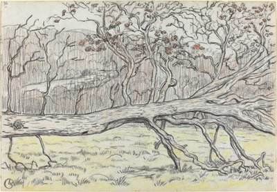 Albero abbattuto, Normandia da Georges Lacombe