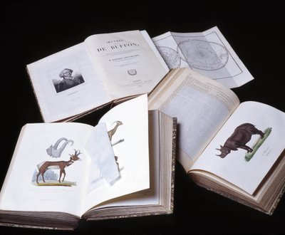 Natura morta delle "Opere complete di Buffon" del naturalista Georges Louis Leclerc, Conte di Buffon (1707 - 1788). Incisione del 1837. da Georges Louis Leclerc