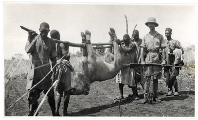 Leone a Bahr el Ghazal, Am Dafok da Georges Marie Haardt