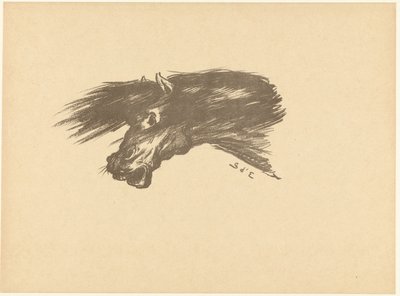 Testa di cavallo da Georges d