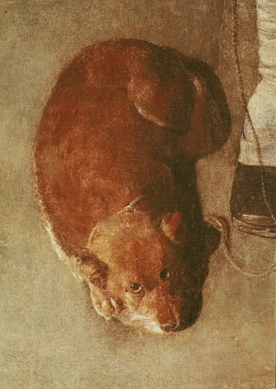 Il suonatore di ghironda con il suo cane, c.1620 (dettaglio) da Georges de La Tour