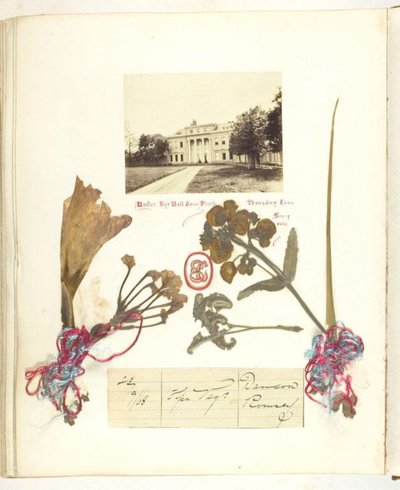 Senza titolo da Georgina Cowper