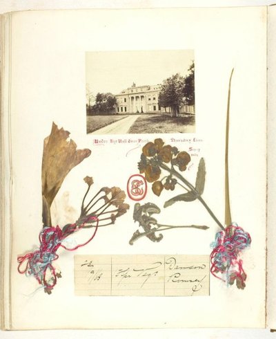Senza titolo [vista di Broadlands con fiori secchi] da Georgina Cowper