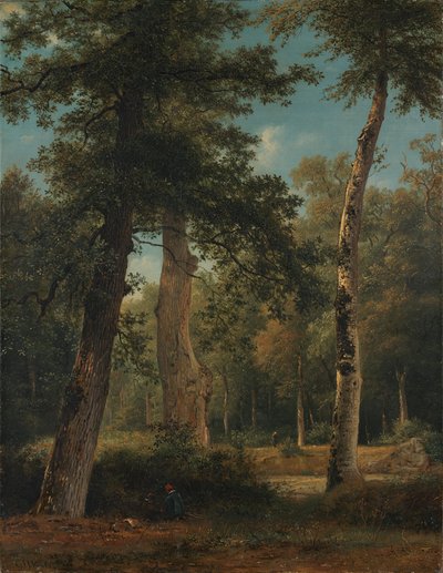 Un bosco a Fontainebleau da Georgius Jacobus Johannes van Os