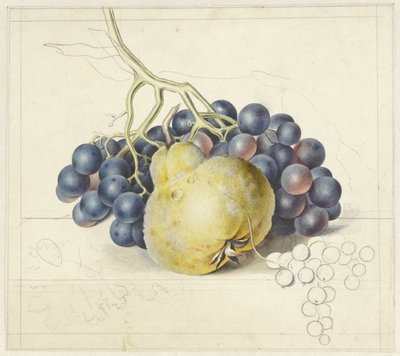 Natura morta con uva e una pera da Georgius Jacobus Johannes van Os