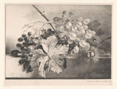 Natura morta con uva e castagne da Georgius Jacobus Johannes van Os