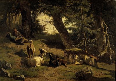 Paesaggio Svizzero da Gerard Bilders