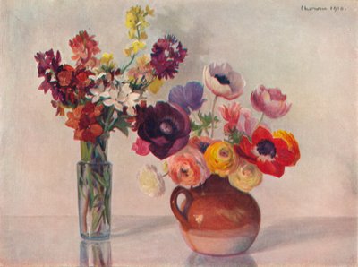 Anemoni e violacciocche da Gerard Chowne