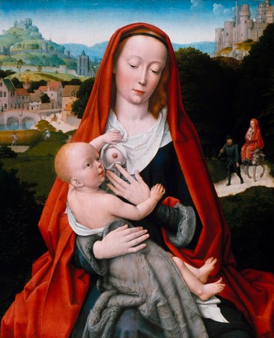 Vergine con il bambino da Gerard David