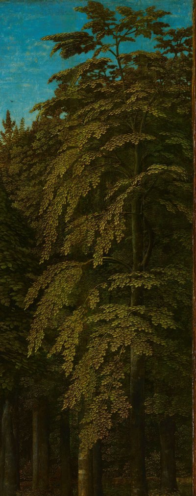Veduta in una Foresta, ala destra esterna di un trittico da Gerard David