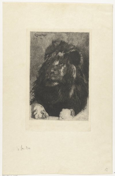 Testa di un leone da Gerard Jan Bos