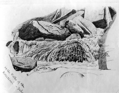 Ai bagni di Rosenlaui - Luglio, c.1867 da Gerard Manley Hopkins