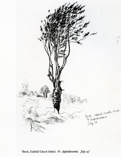 Faggio, Chiesa di Godshill dietro. Fr. Appledurcombe. 25 luglio, c.1860