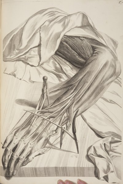 Anatomia Humani Corporis di Govard Bidloo, 1685 da Gerard de Lairesse