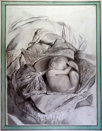 Rappresentazione di un feto umano in un utero da Gerard de Lairesse
