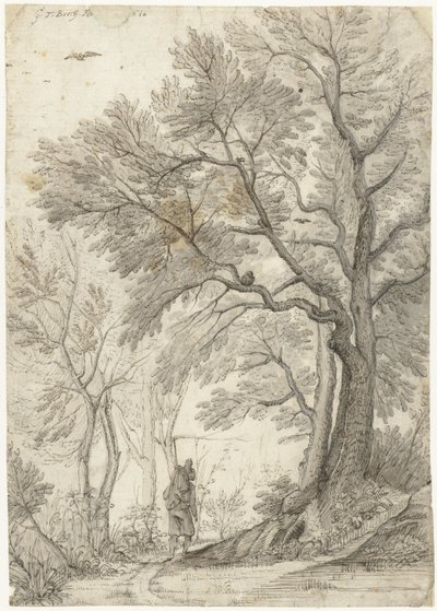 Bosco della Villa Madama fuori Roma da Gerard ter Borch